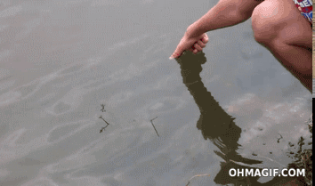 Angeln ohne Angel - einfach Finger ins Wasser stecken