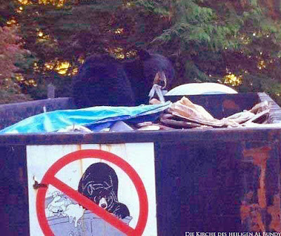 Bär in Müllcontainer - Tierbilder Verbotsschild