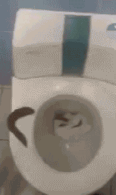 Eckelhaft selbreinigende Toilette Humor Männliche Marotten: Lustiges aus der Männerdomäne Ehe, Ehemann, Komische Begebenheiten des Lebens, Toilette, Wissen zum lachen, Zuhause