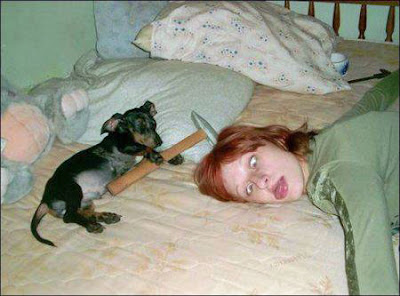Lustige Bilder schlafende Menschen mit Hund