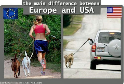 Vergleichsbild mit Hund Gassi gehen - Europa USA  Spaßbilder