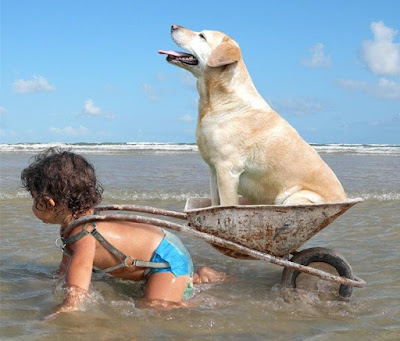 Witziges Foto Urlaub Kind Hund Meer Freizeit mit Freude: Entspannung, pur Familie, Freizeit, Komische Begebenheiten des Lebens, Strand, Urlaub