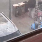 Wenn die Nachbarn glücklich wirken, werde ich automatisch zum Drecksack mit schlechten Ideen Tipps | Die Kirche des heiligen Al Bundy 15. Februar 2026 8