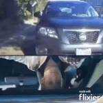 Witzige Spass Bilder Raser im Geschwindigkeitsrausch 5 Al Bundy - Der humorvolle Held des Alltags Auto, Komische Begebenheiten des Lebens, Mann, Öffentlichkeit